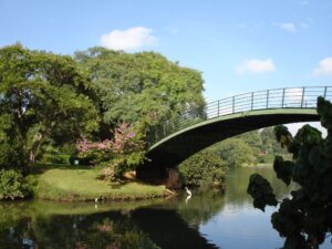 Ibirapuera 03