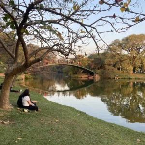 Ibirapuera 06